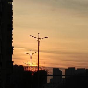 作爱视频在线播放
