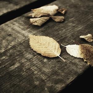 作爱视频在线播放
